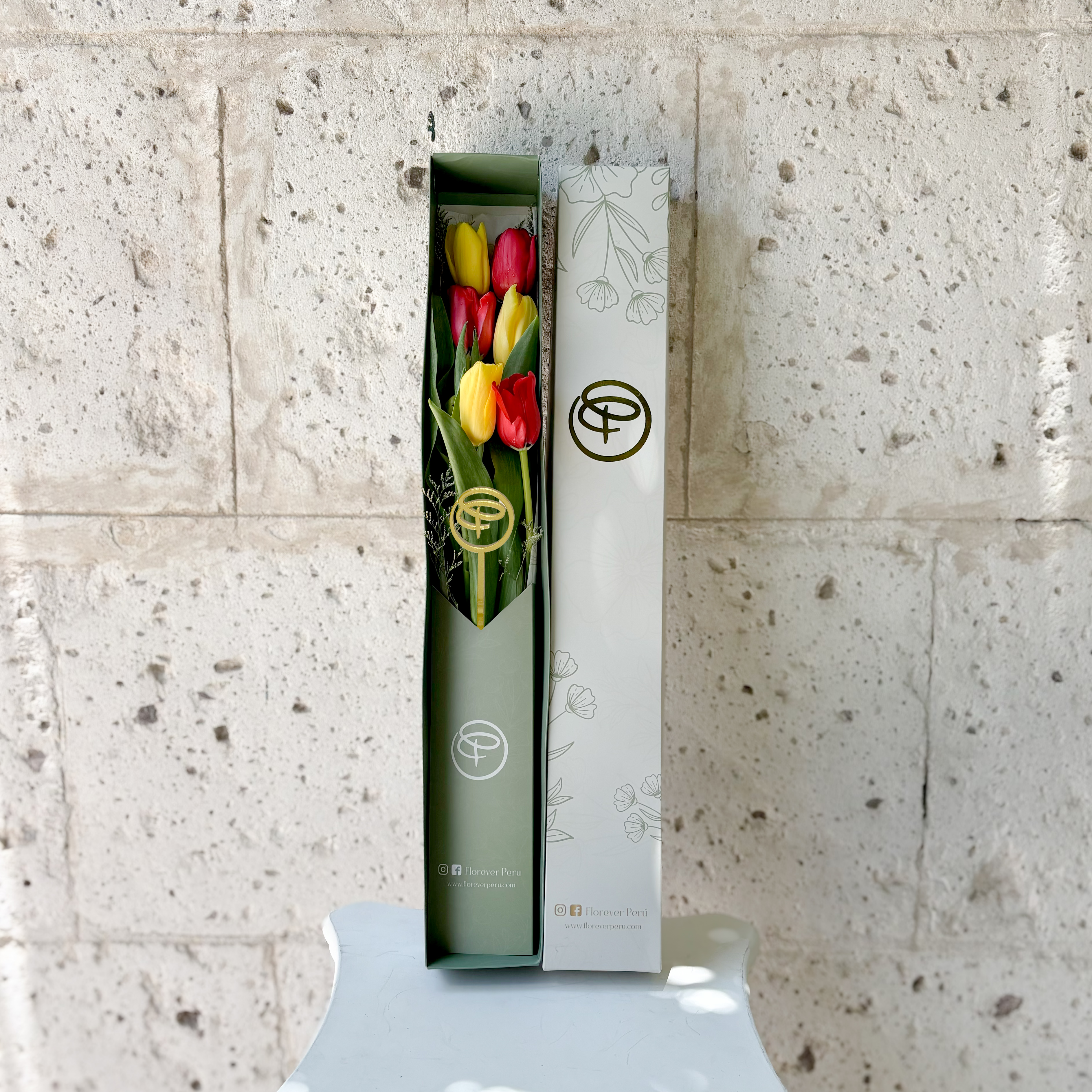 CAJA LARGA 6 TULIPANES