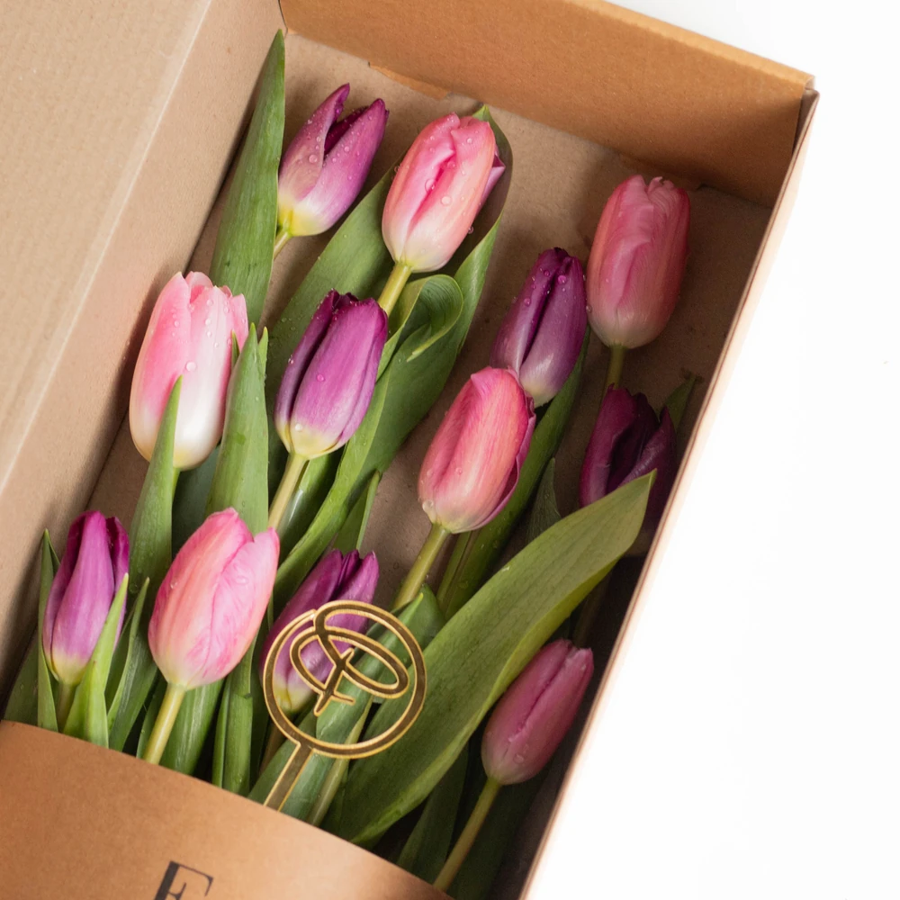 CAJA CON 12 TULIPANES EDICION EUFLORIA + CHOCOLATE LINAJE — tulipan
