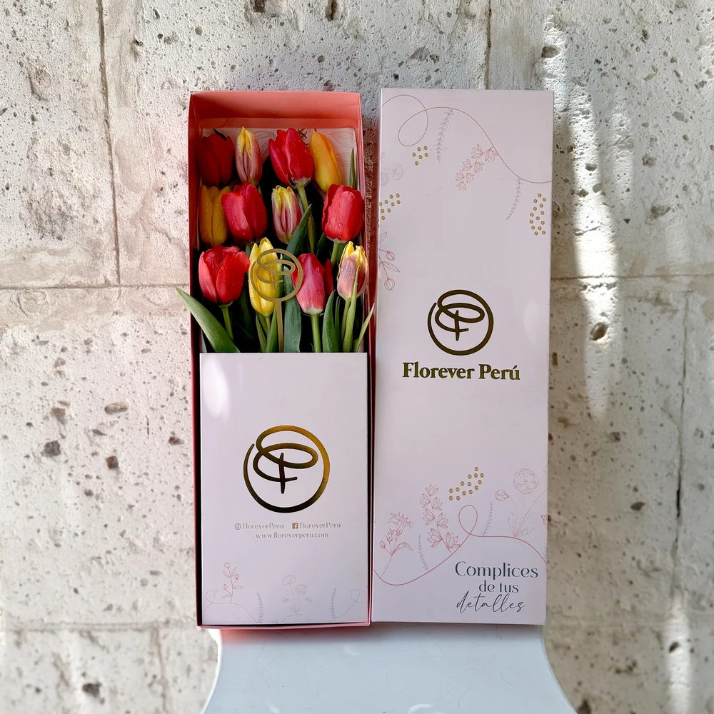 CAJA LARGA 12 TULIPANES