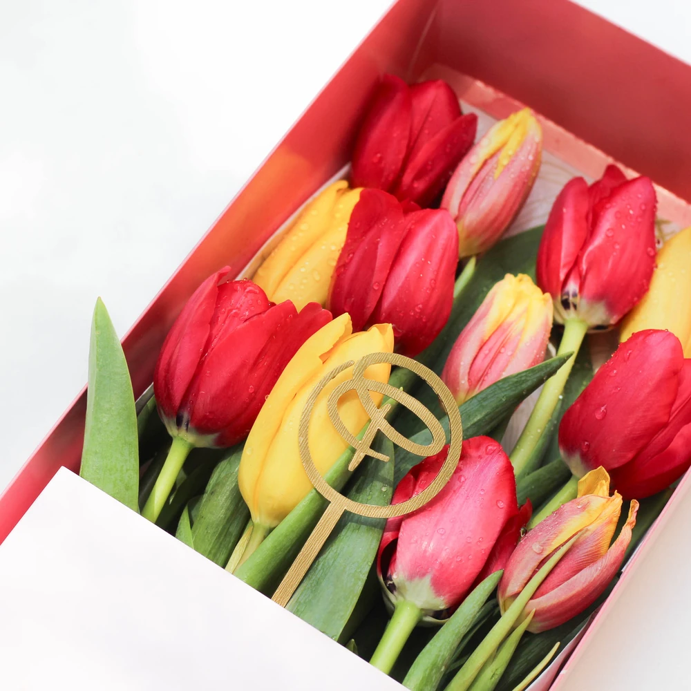 CAJA LARGA 12 TULIPANES — tulipan