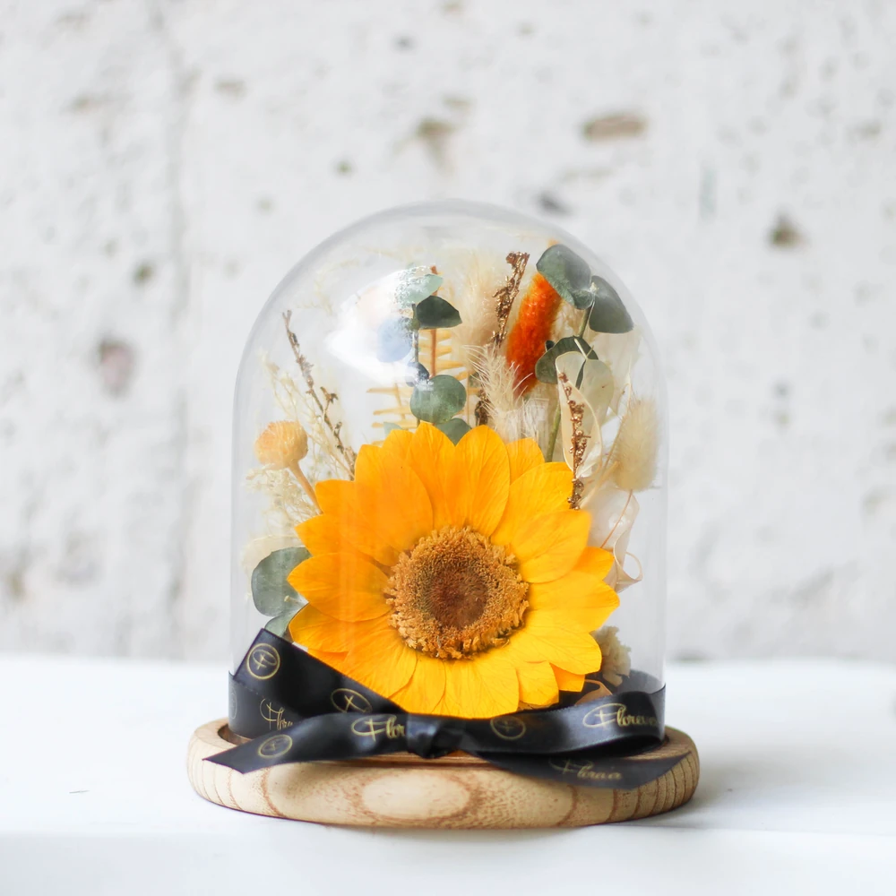 GIRASOL PRESERVADO